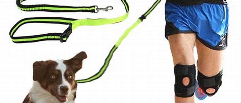 Running dog leash